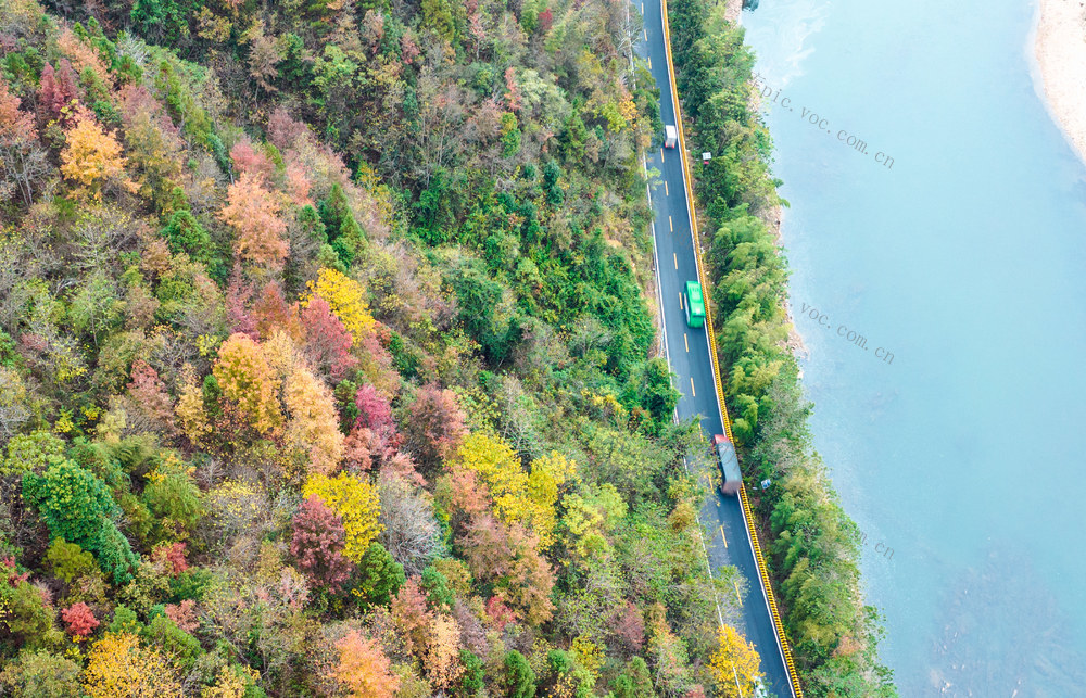 生态 通道侗族自治县 路 城乡交通