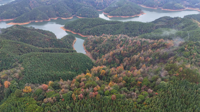 冬天、景色、风光、湿地公园、水库