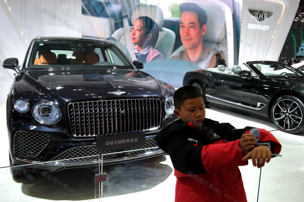 第二十届中国（长沙） 国际汽车博览会