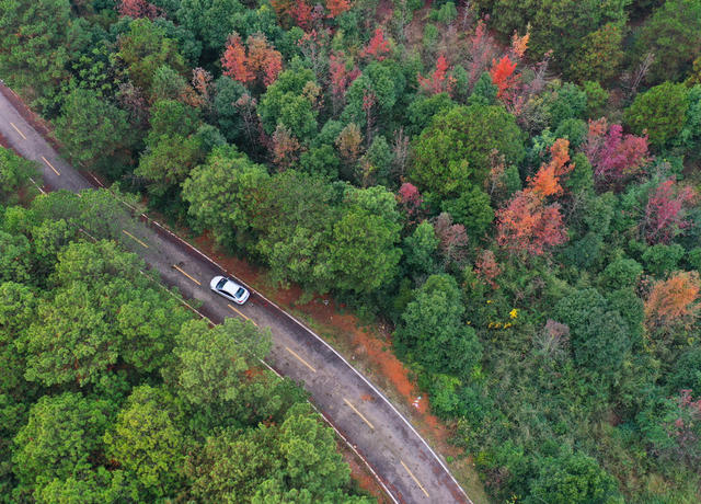   嘉禾： 生态美 绿意浓