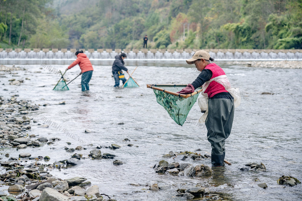 峒河 桃花虫 河虾 特色美食