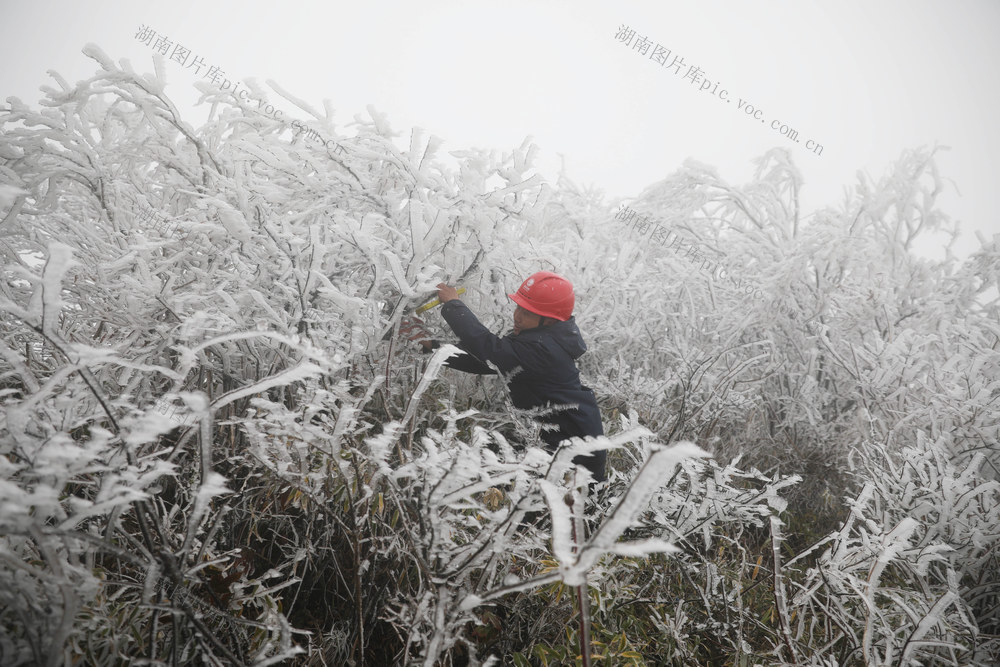 冰情初现  保供电