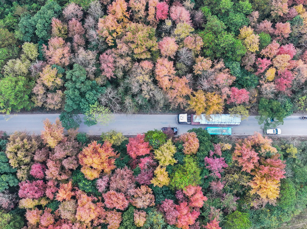 冬景
色彩
道县