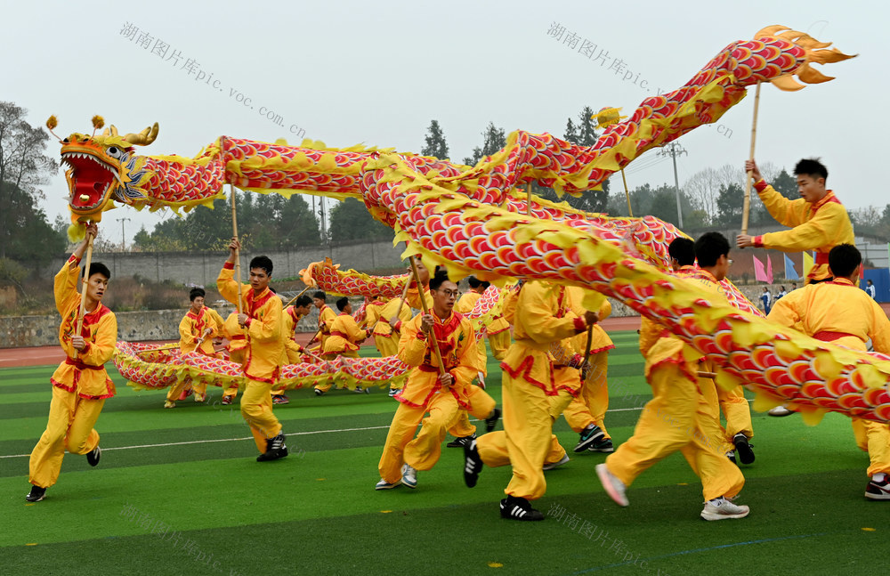 传统文化 传统体育 舞龙、大课间 教育 学校 学生 校园 运动