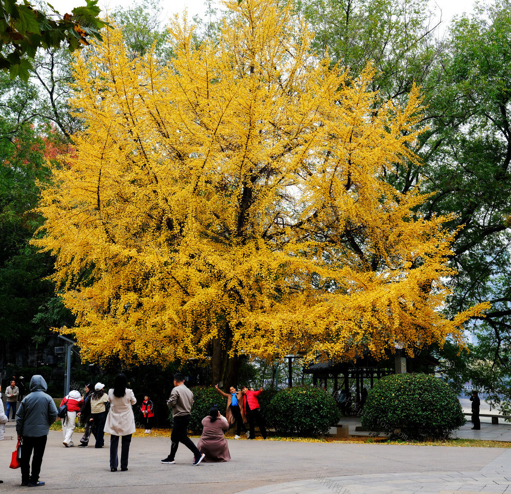 湖南烈士公园，“红军渡”游玩，