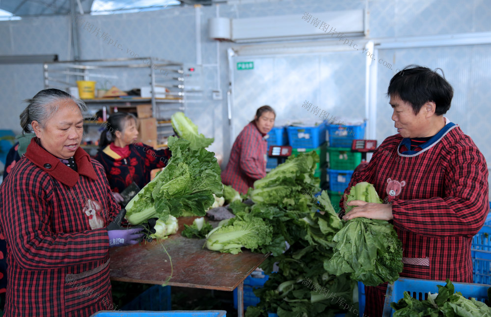     湖南桂东 新增 “湖南省农业产业化省级龙头企业”