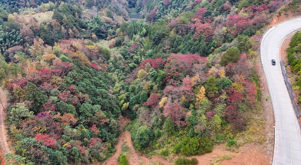 公路、景色、冬天、交通、风光