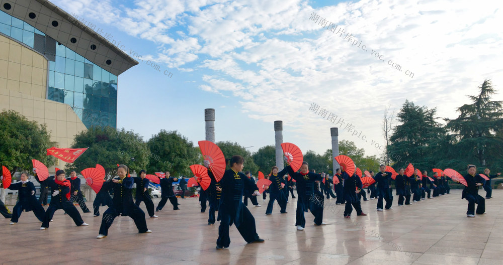 太极健身  健康生活