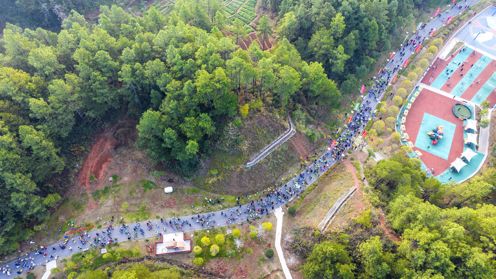 全民健身 亲子活动 体育 健身 健走 户外