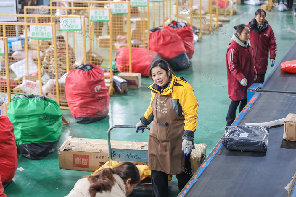 物流 快递 分拣 双十二 网购 智慧物流