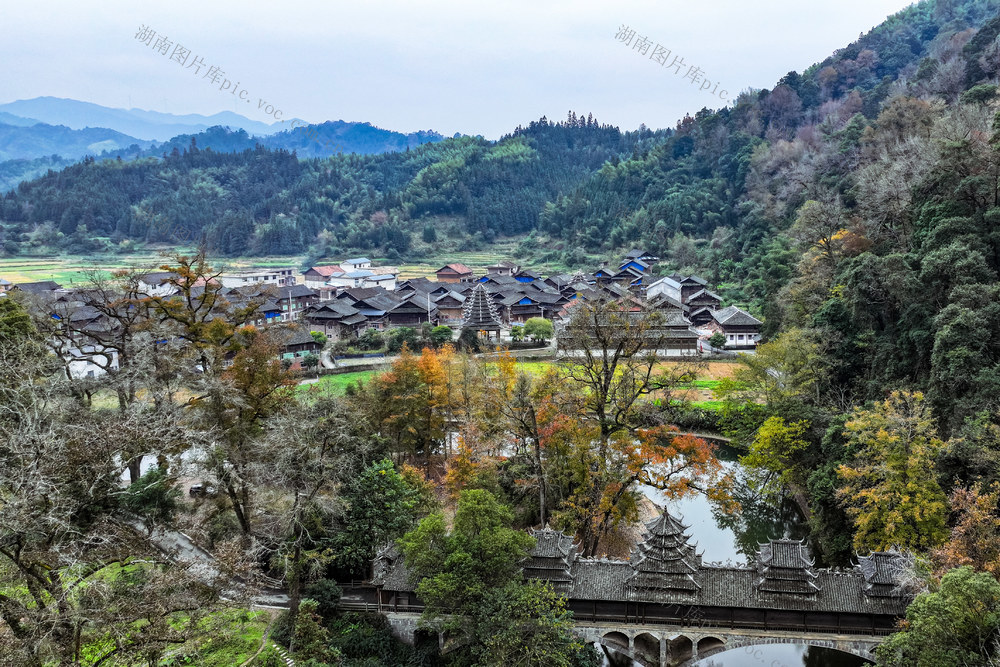 村 乡村 色彩 冬景 湿地 水