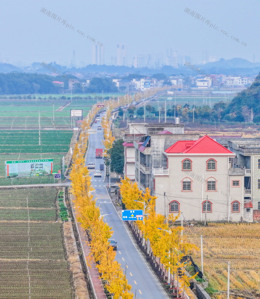 四好农村路
道县
金黄
