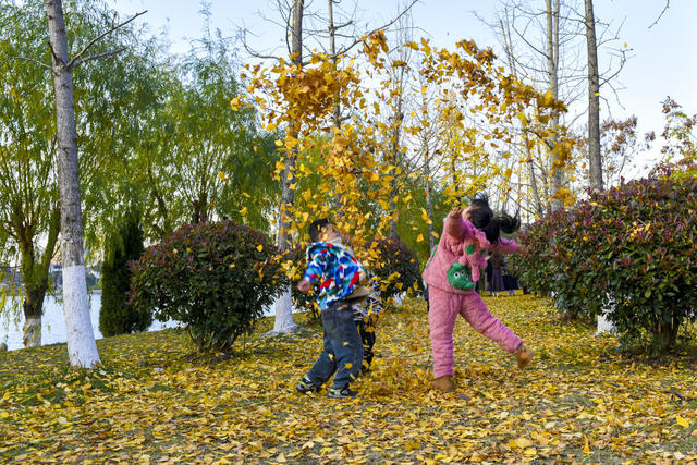 风光带  休闲游玩