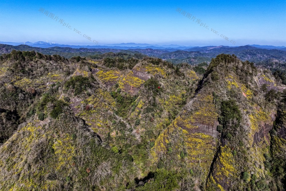 菊花 丹霞 风景 冬景 蓝天