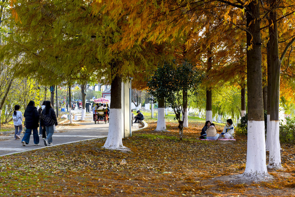 风光带  休闲游玩