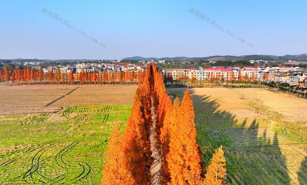 湖南  常宁  乡村  公路  美景