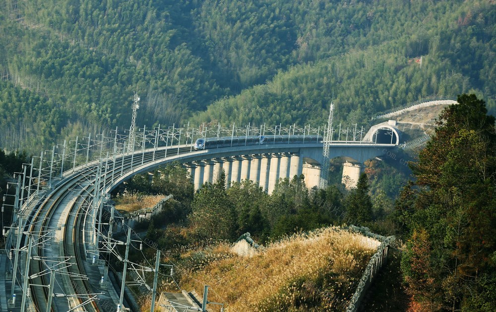 行驶在绿色世界的列车