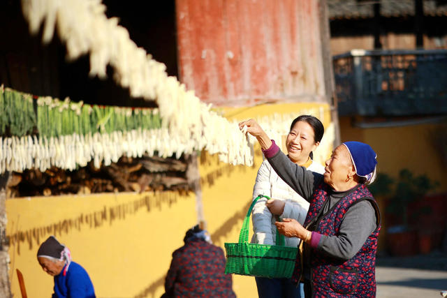 蔬菜、产业、萝卜、农业、农村