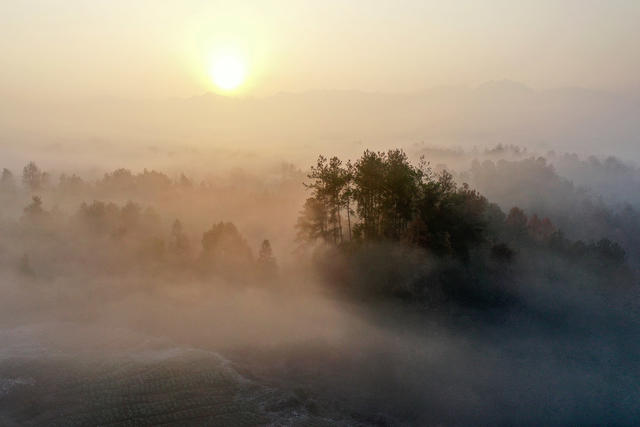 湖南，湘西，冬日，暖阳，晨雾，枫林，早晨，美景