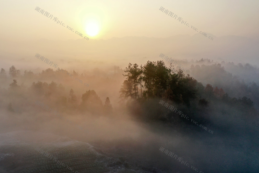 湖南，湘西，冬日，暖阳，晨雾，枫林，早晨，美景