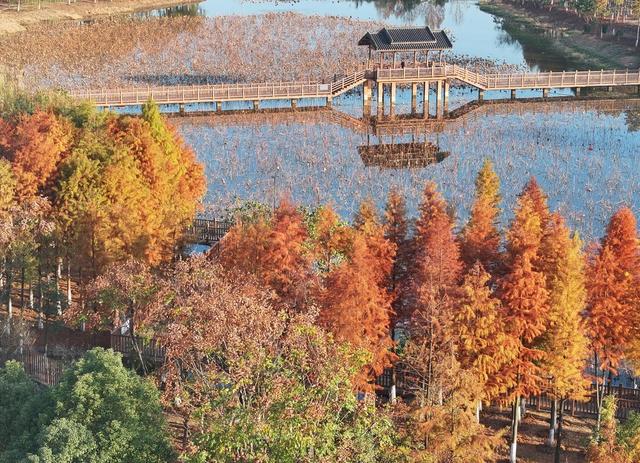 冬景
色采
道县