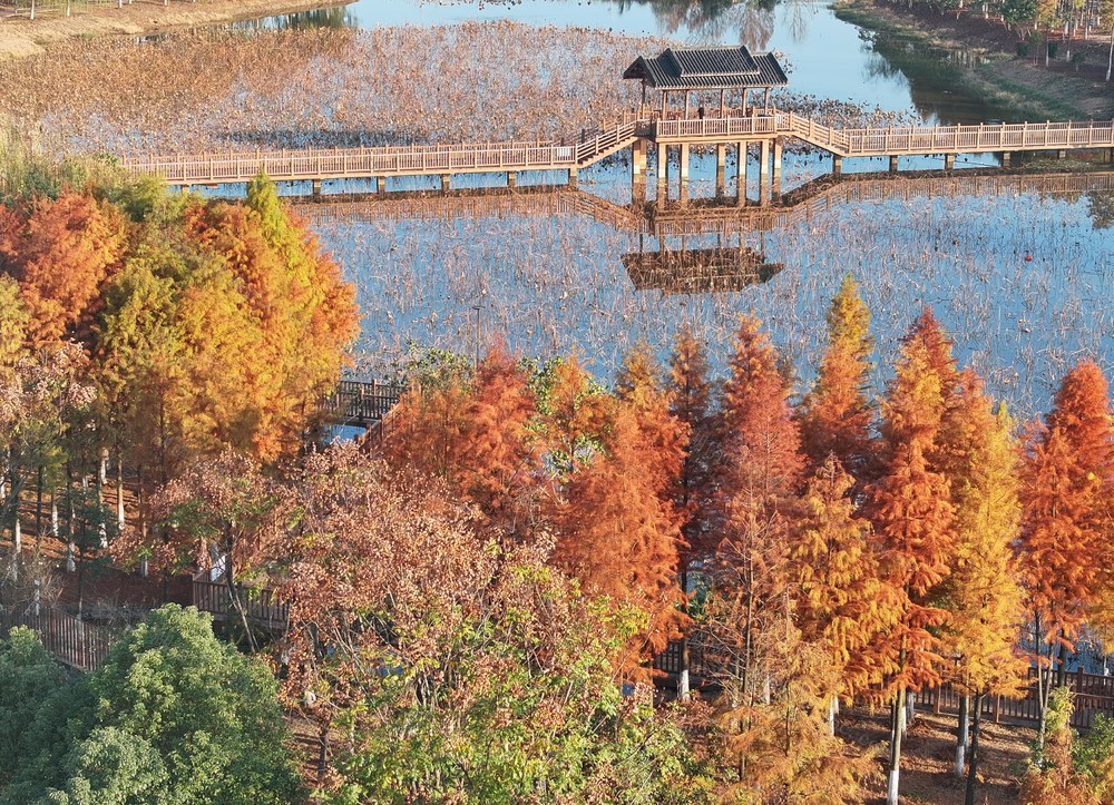 冬景
色采
道县