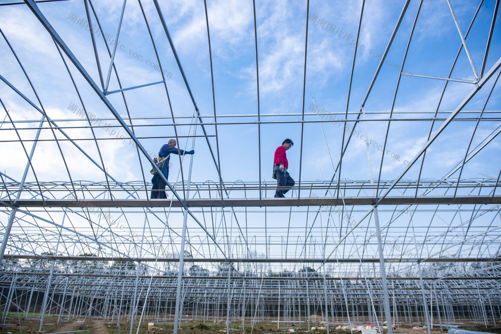 娄底 现代农业 智慧育秧大棚 农业增效 农民增收