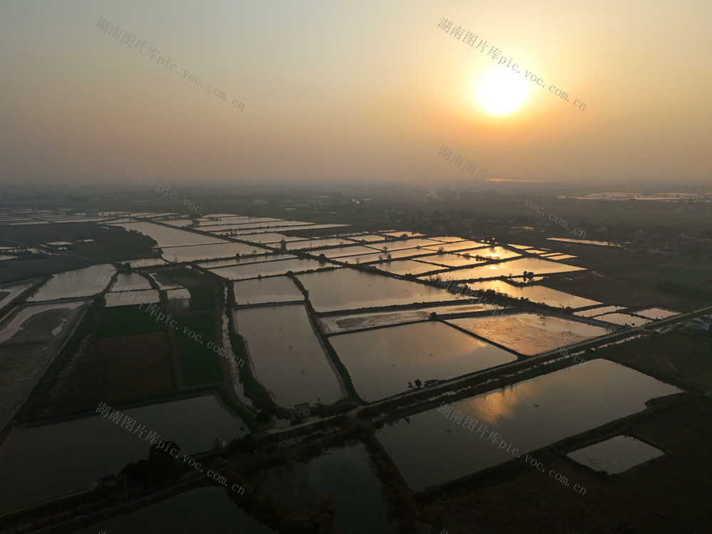汉寿 甲鱼 农业增收  农民致富  特色产业 县域经济