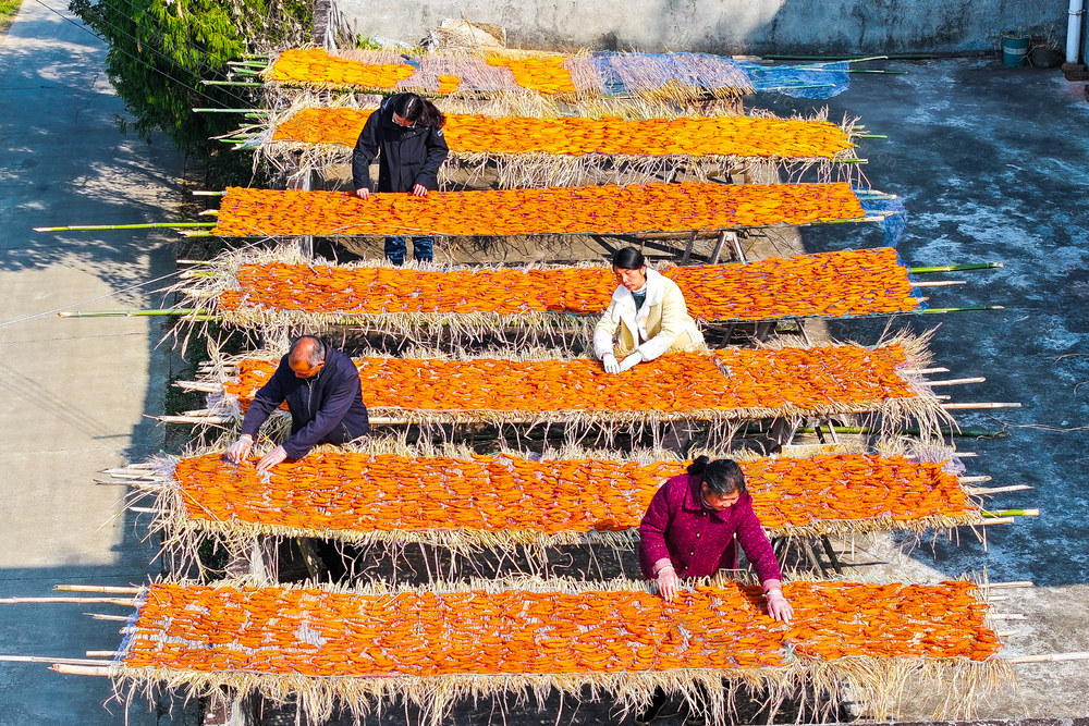 红薯  红薯干  晾晒  增收