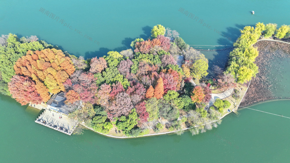 生态 公园 美景