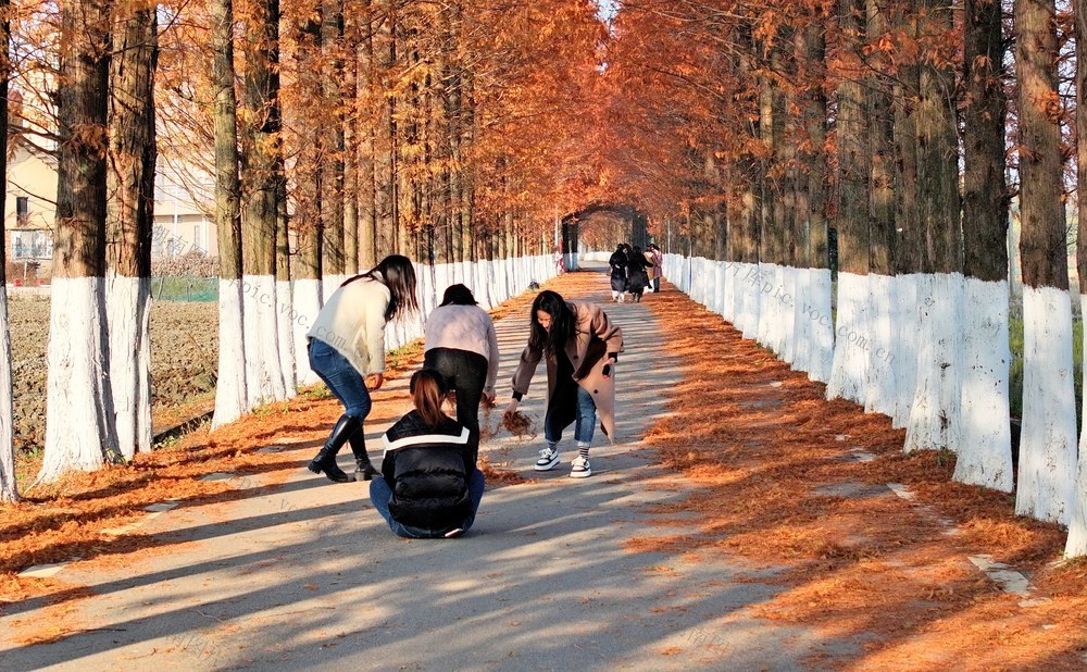 湖南  常宁  村道  美景