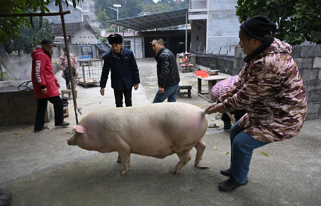 社会　乡村振兴　结对帮扶　消费　
