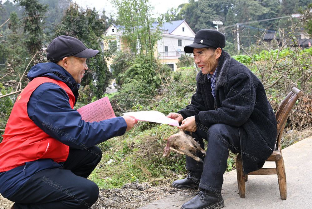 乡村振兴　医保　养老　敲门行动　驻村工作