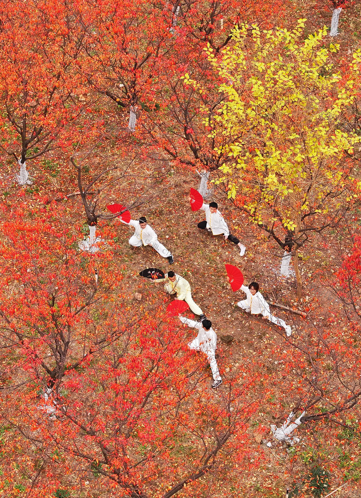 冬日 大学 校园 美景 如画