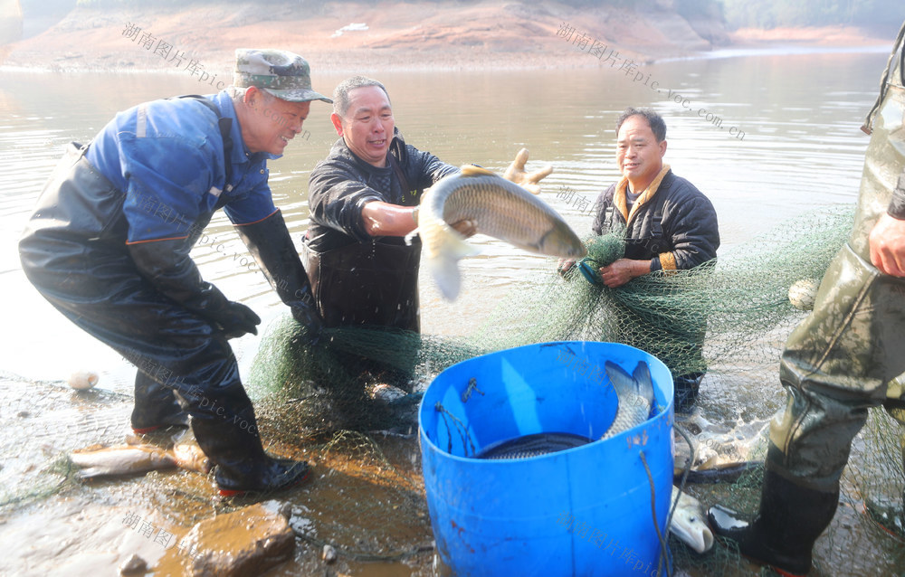 冬捕 鱼 市场 节日