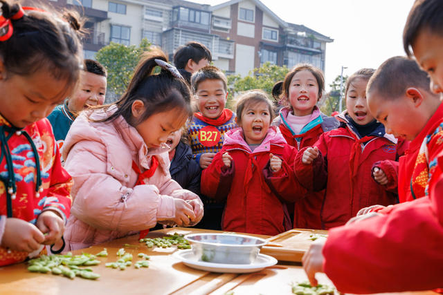 湖南
通道侗族自治县
劳动教育
侗族
