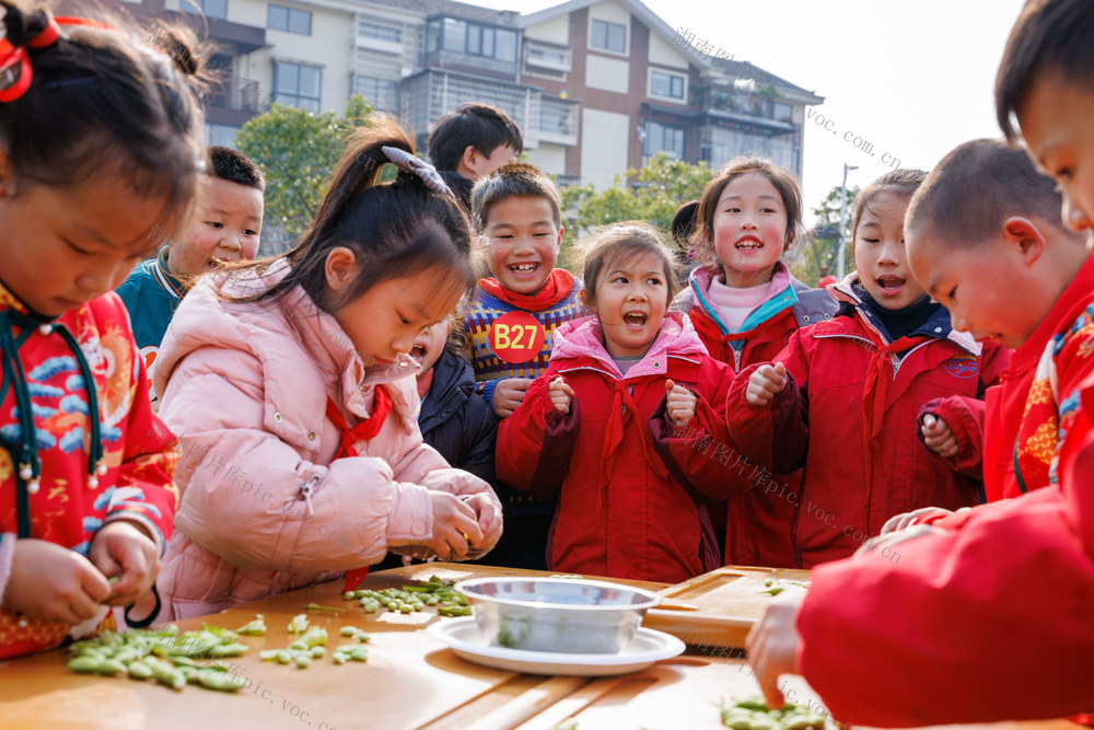 湖南
通道侗族自治县
劳动教育
侗族
