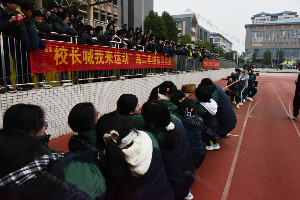 辞旧迎新  校园  课间运动  体育 
 拔河  决赛