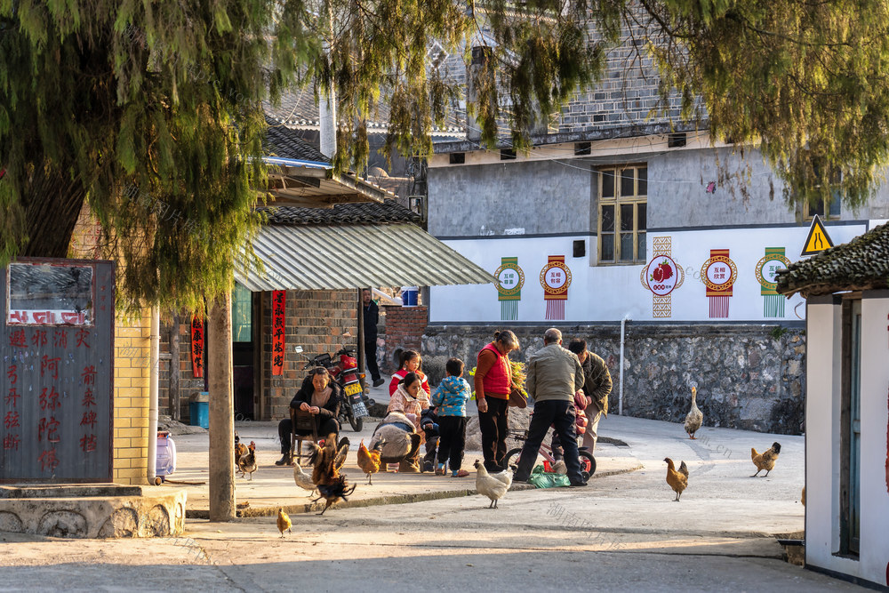 人居环境  乡村振兴  生态  人文  