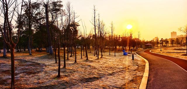 冬日晨光中的株洲万丰湖