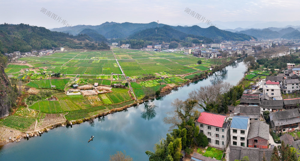 冬季乡村 油菜 冬种 美丽