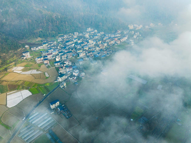 冬日 美丽乡村 西门口村