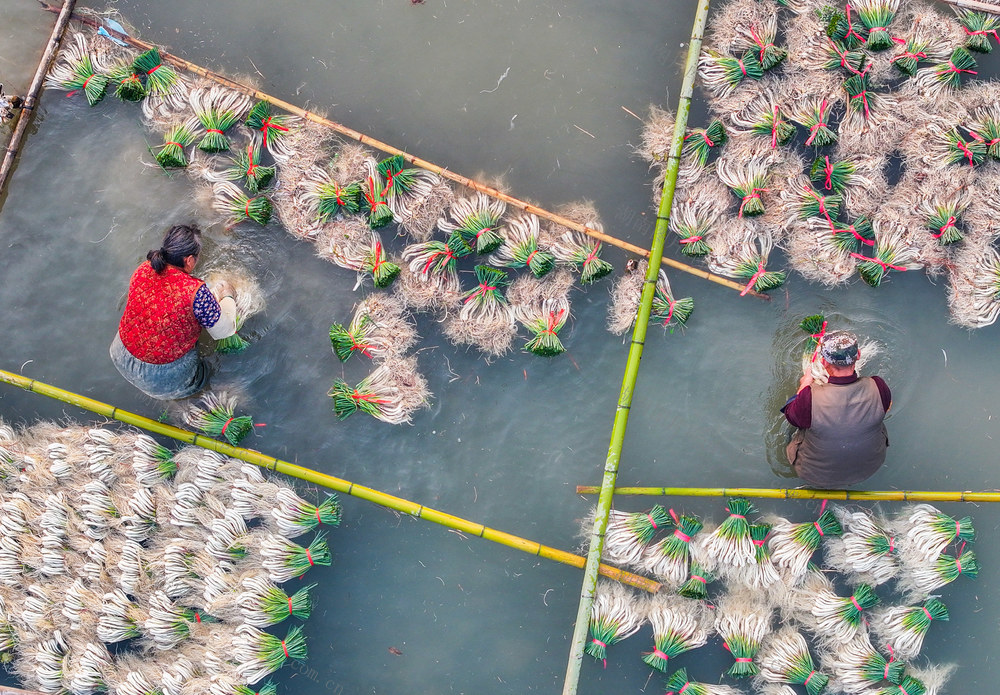 大湾区
蔬菜
道县