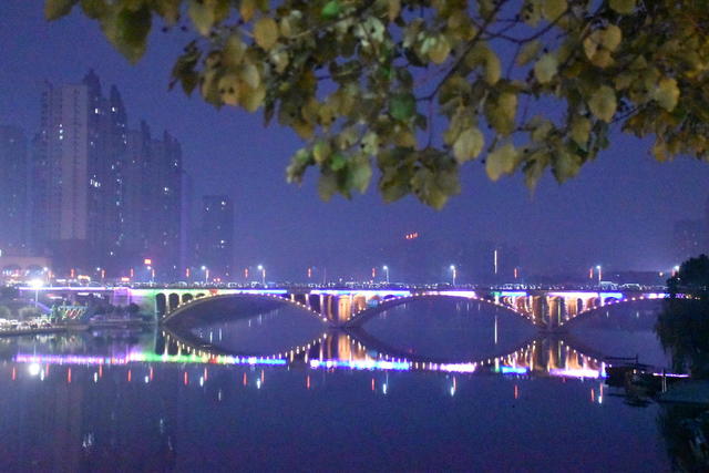 璀璨夜城迎新年