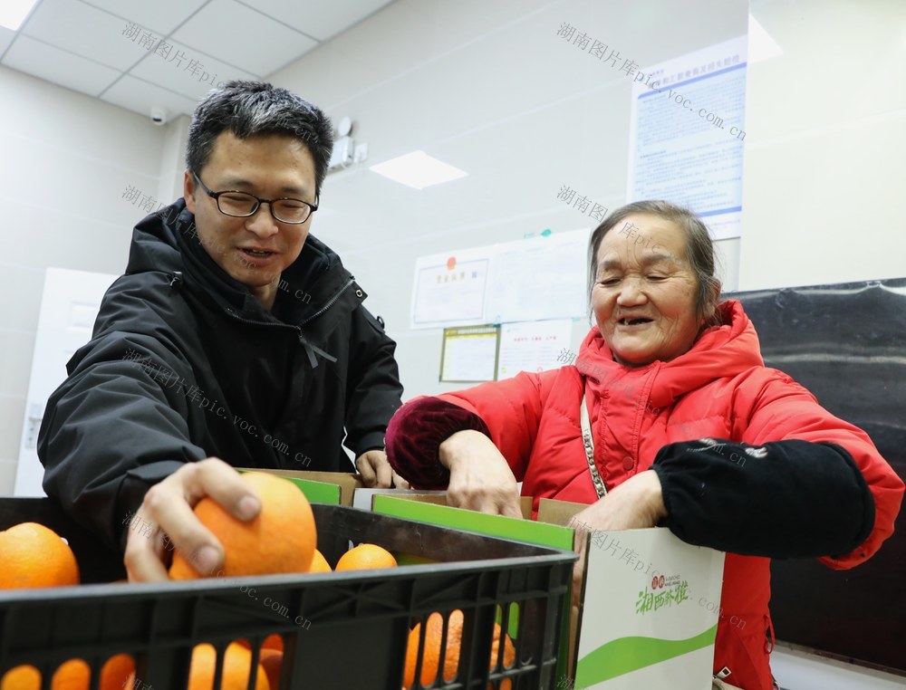   电商助力  果农增收