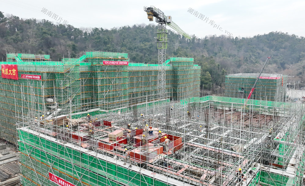 项目建设快进键