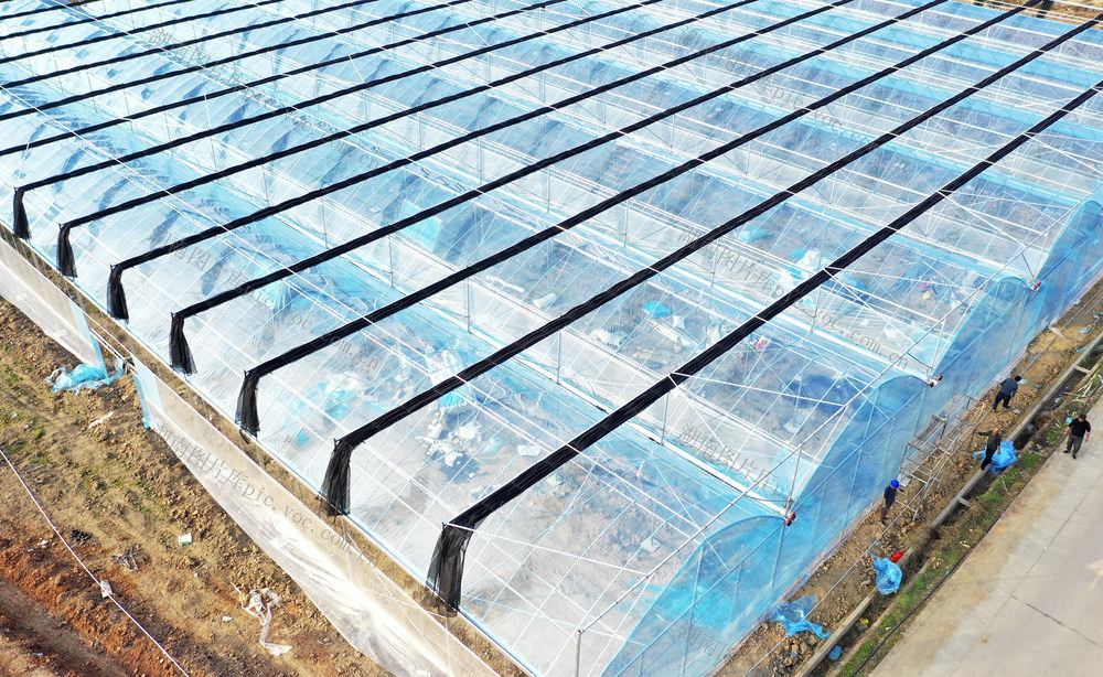 乡村振兴 现代农业 智慧农业 增收致富 农业产业