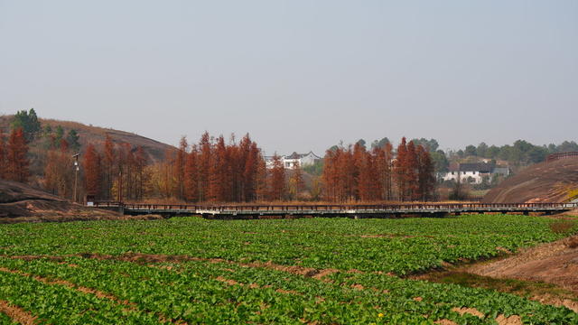 安仁县 丹霞山 渡口乡 乡村旅游