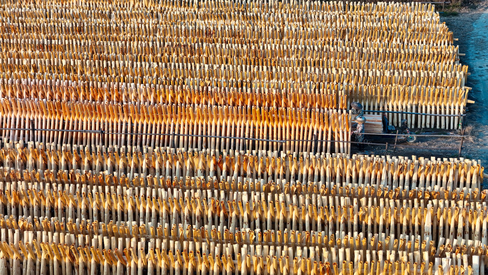 竹木加工、经济、产业、产品、晒板