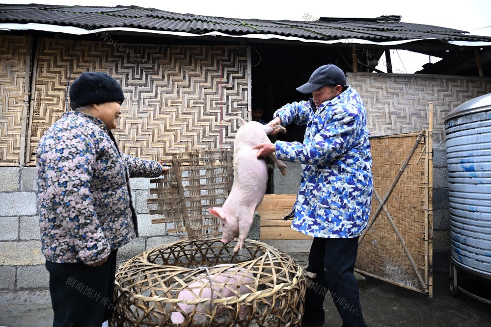 乡村振兴 驻村工作 消费帮扶